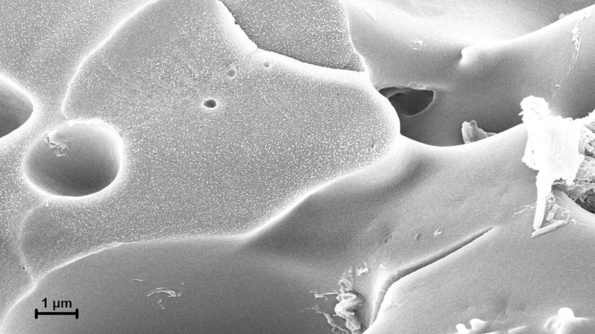 Scanning electron microscope image showing a highly magnified, textured surface with several holes and a few scattered debris. A scale bar at the bottom left indicates a length of 1 micrometer (µm).
