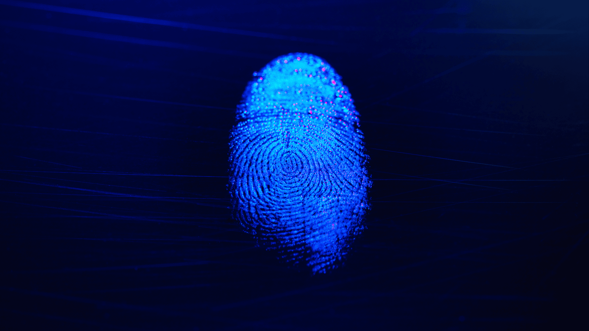 Ein blauer Fingerabdruck mit detaillierten Rillen und Mustern wird vor einem dunklen Hintergrund beleuchtet und scheint unter ultraviolettem Licht zu leuchten.