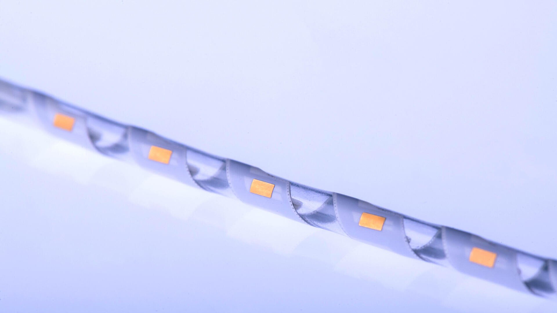 Nahaufnahme eines flexiblen LED-Leuchtbandes mit einzelnen gelb-orangefarbenen LED-Chips, die in ein weißes Band eingebettet sind, vor einem hellvioletten Hintergrund.