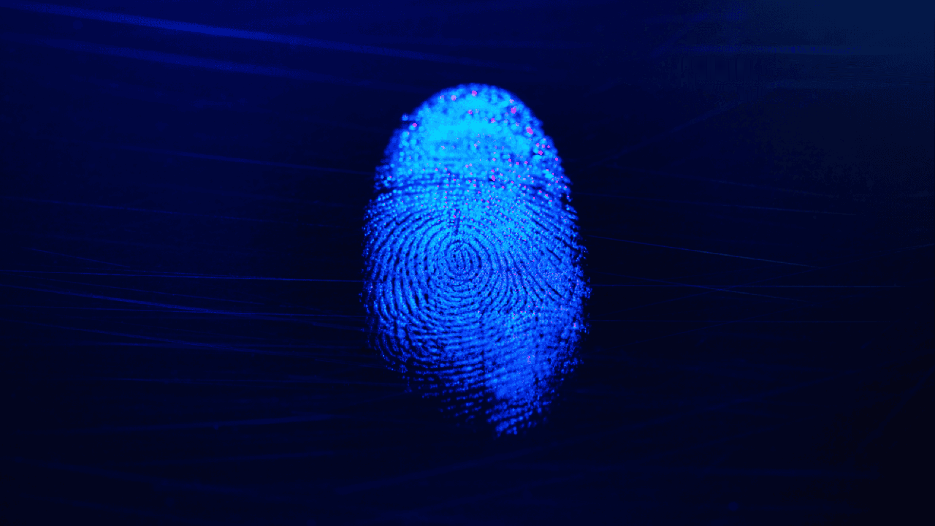 A glowing blue fingerprint is illuminated against a dark background, highlighting the unique ridges and patterns in detail.